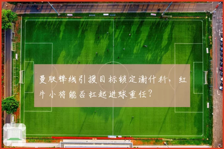 曼联锋线引援目标锁定谢什科，红牛小将能否扛起进球重任？